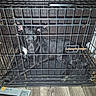 animal, black_dog, black_fur, brown_eyes, cage, crate, dog, floor, food, household, indoor, kennel, kibble, metal_bars, pet, pet_carrier, photograph, sitting, staring, white_chest