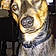 Brindle