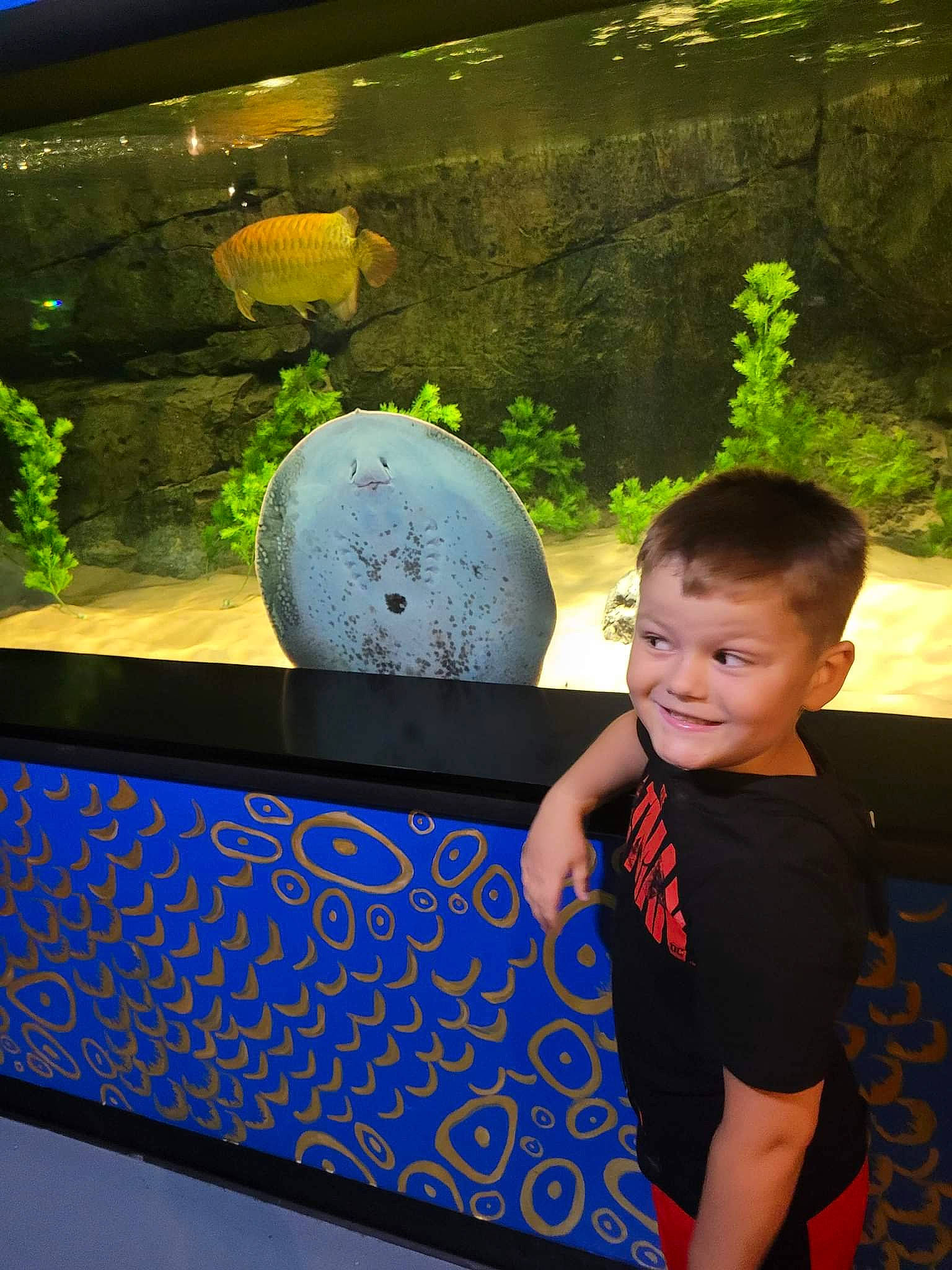 Jase joined the competition — help win amazing prizes! aquarium, child, electric_blue, fun, garden, grass, happy, joy, landscape, leisure, mammal, person, plant, recreation, sitting, smile, t_shirt, toddler, tree, vacation