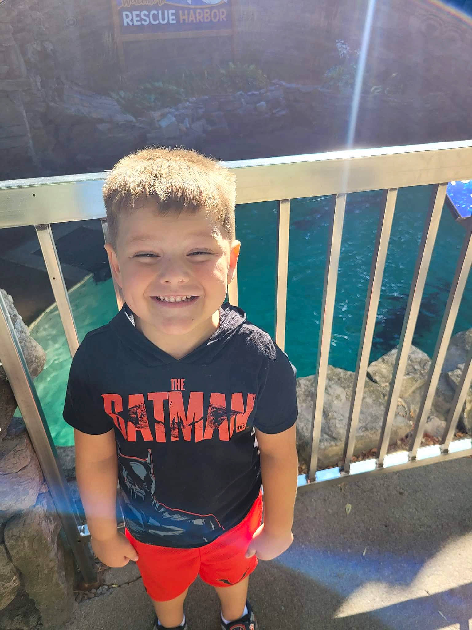 Jase is registered to the contest to win money with this photo: child, cool, electric_blue, fence, fun, grass, happy, joy, leisure, metal, person, recreation, shorts, sitting, sleeve, smile, t_shirt, thigh, toddler, tree