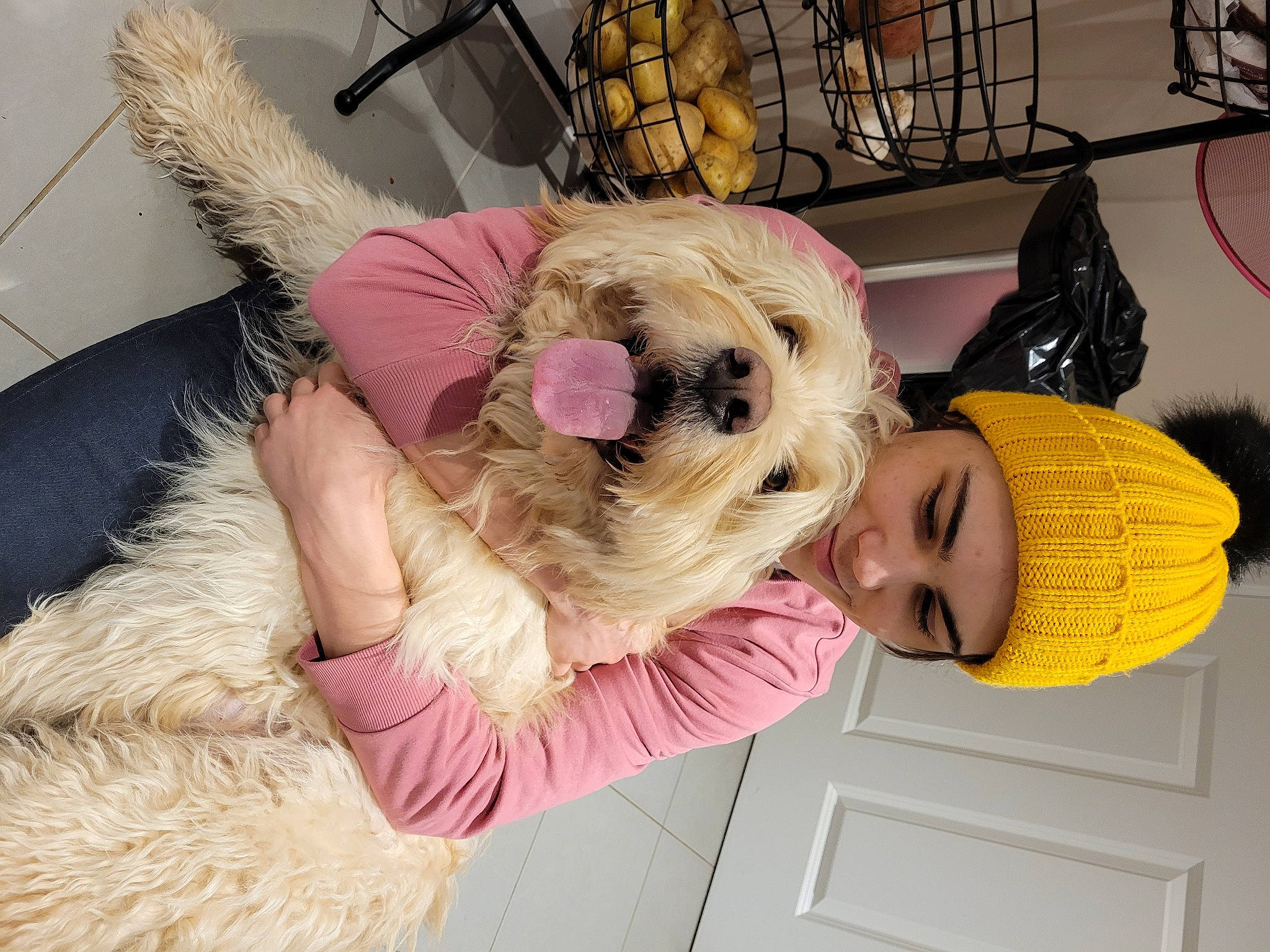 Bear is registered to the contest to win money with this photo: bag, canidae, carnivore, comfort, companion_dog, dog, dog_breed, dog_clothes, dog_supply, fawn, fun, fur, happy, hat, mammal, puppy_love, sporting_group, sunglasses, toy_dog, vertebrate