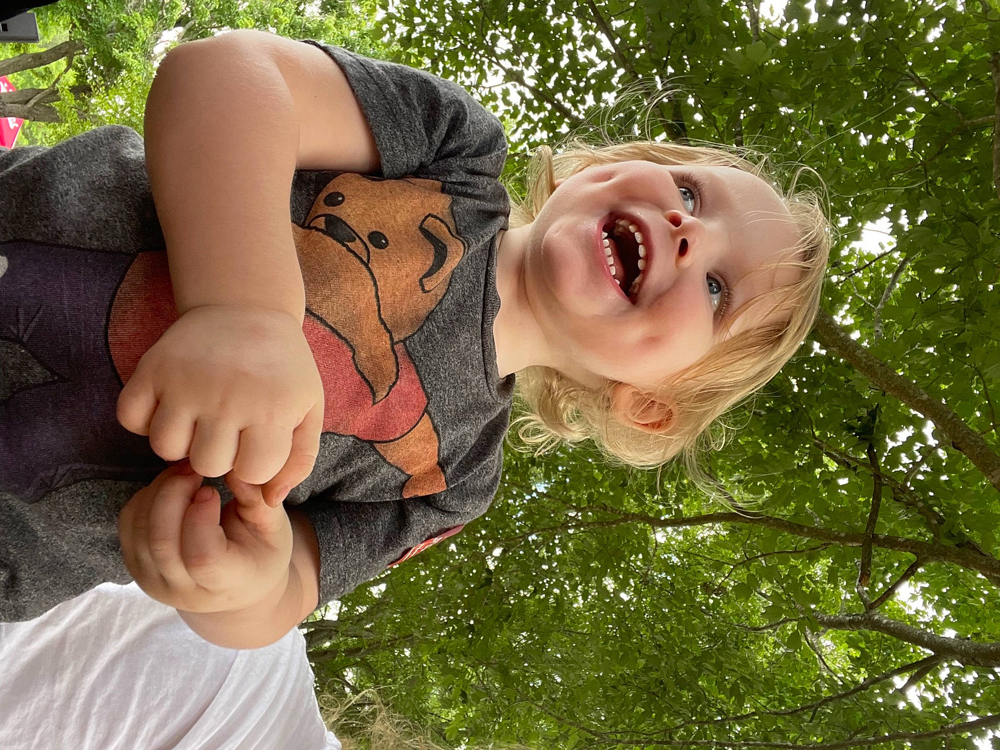 Jaxton joined the competition — help win amazing prizes! arm, dress, finger, fun, gesture, glasses, grass, hand, happy, head, human_body, joy, leaf, leisure, people_in_nature, person, plant, shoulder, smile, toddler