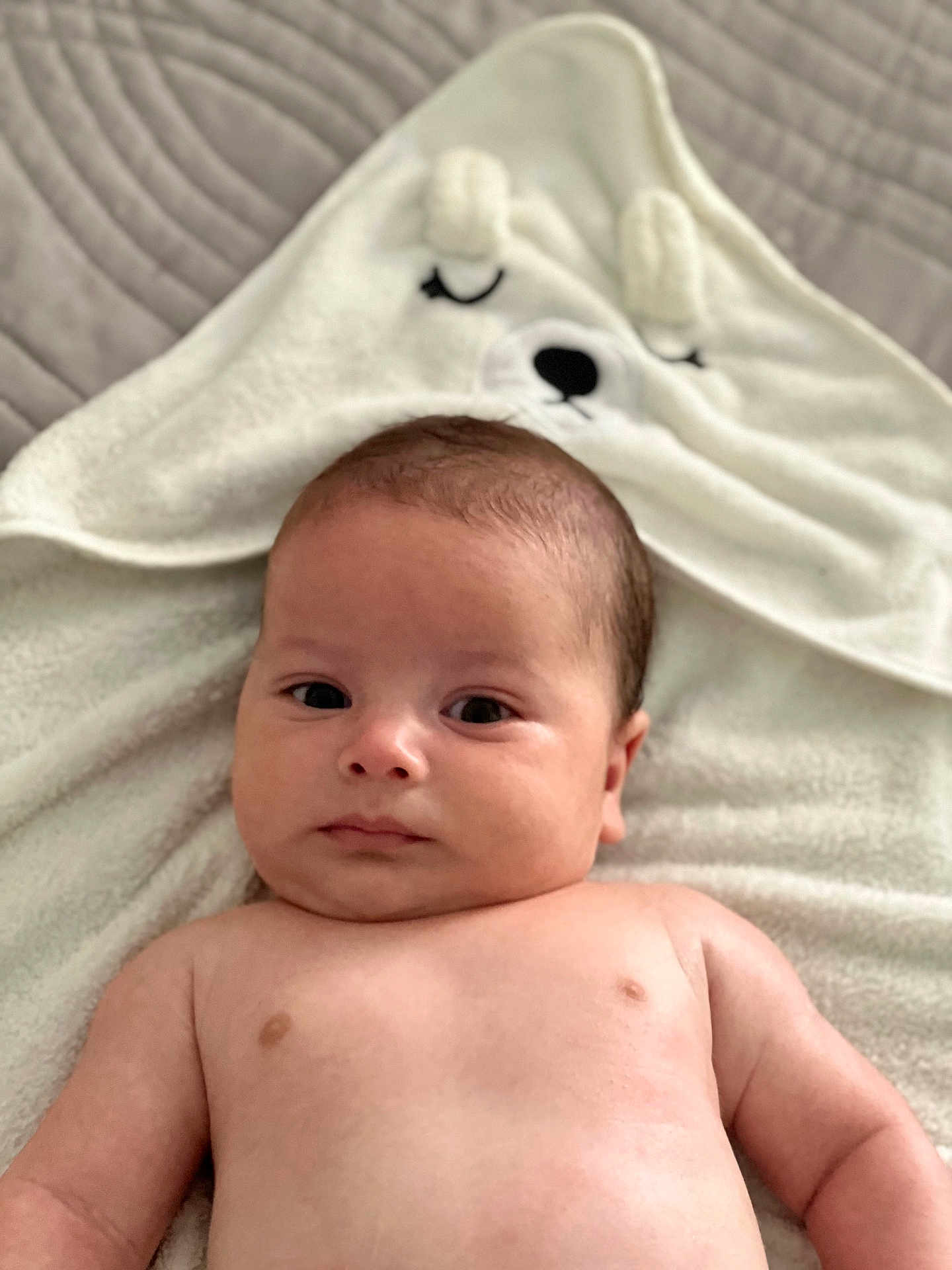 Ilyan a rejoint le concours — aidez-le/la à gagner de superbes lots ! baby, infant, child, towel, hooded_towel, face, skin, bare_chest, blanket, cute, soft_texture, lying_down, indoors, portrait, newborn, expression, relaxed, sleepy, baby_boy, comfort