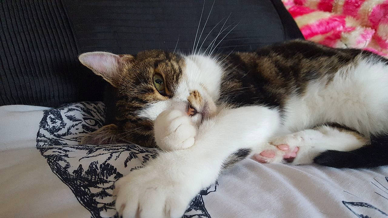 Leah is registered to the contest to win money with this photo: