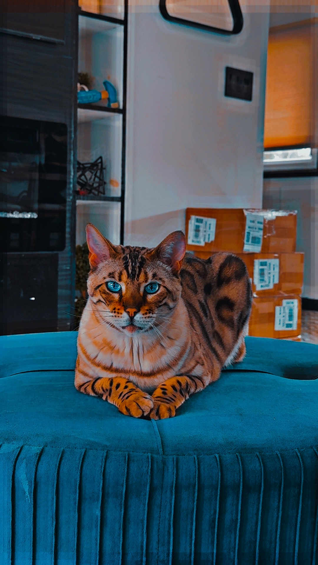 Luna