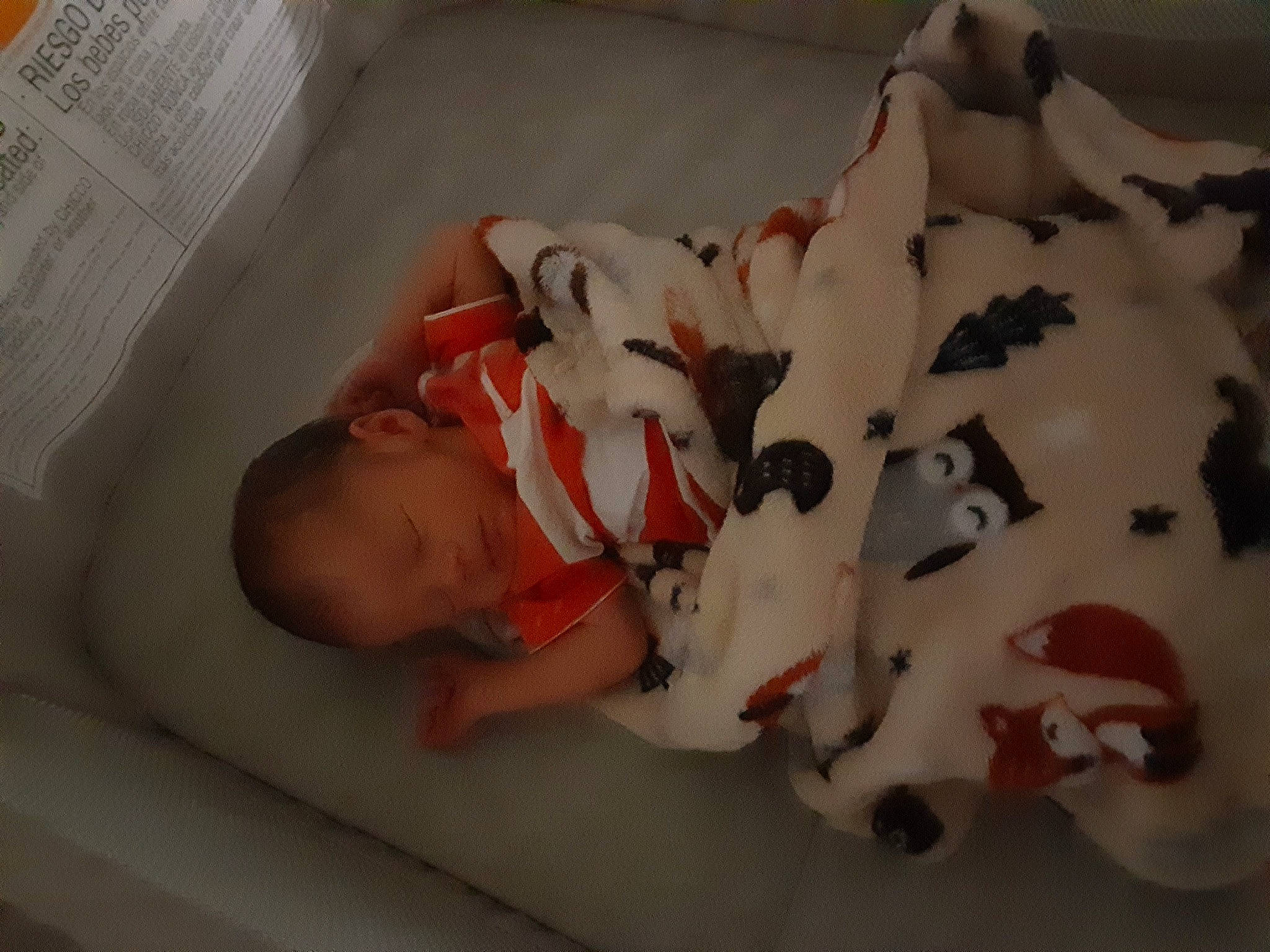 Lincoln is registered to the contest to win money with this photo: abdomen, baby, baby_products, baby_safety, baby_sleeping, baby_toddler_clothing, bed, bedding, bedtime, carmine, child, comfort, infant_bed, linens, nap, pattern, person, room, sleep, toddler