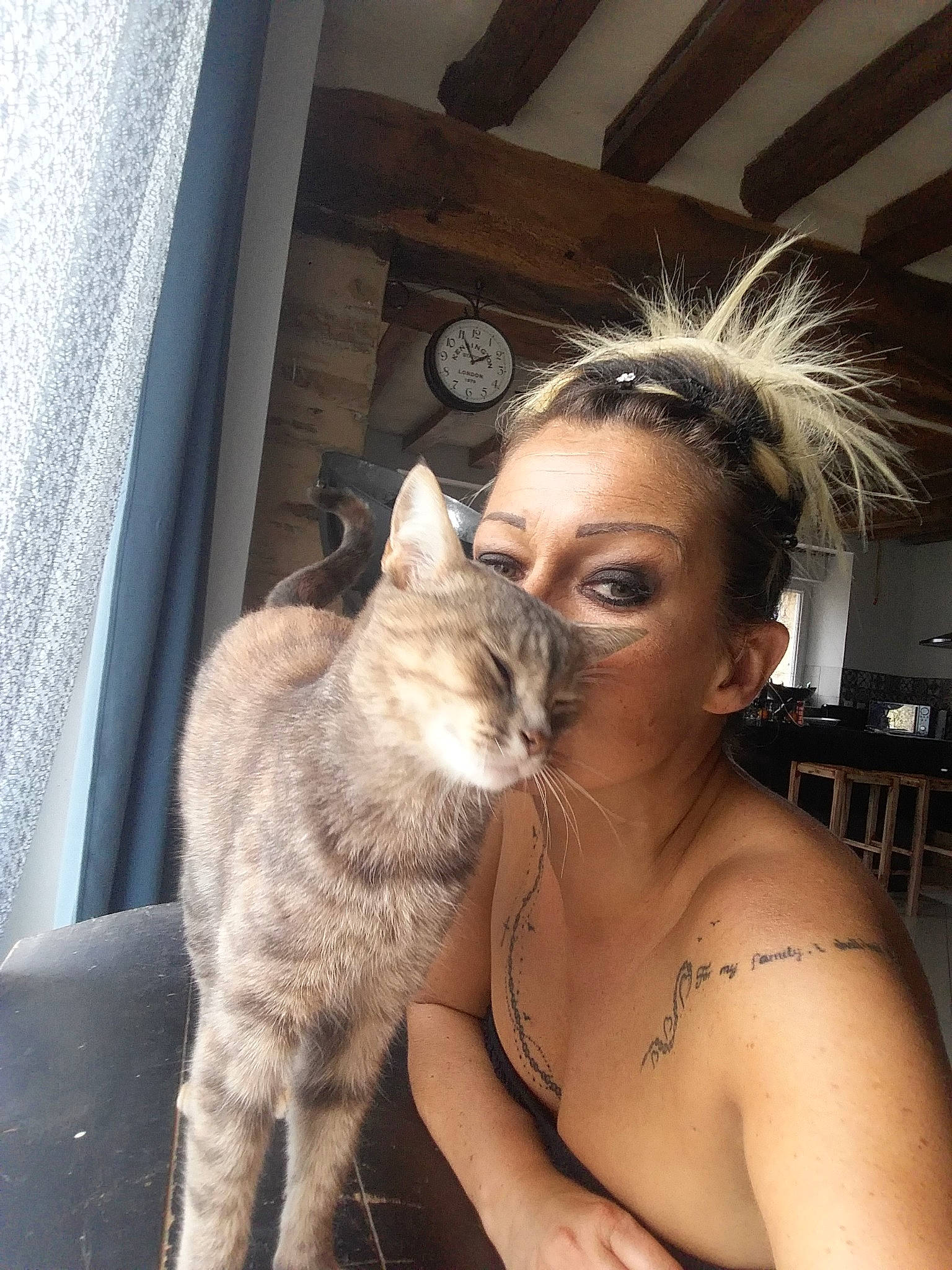 Kiki a rejoint le concours — aidez-le/la à gagner de superbes lots ! asian, carnivore, cat, domestic_short_haired_cat, ear, european_shorthair, fawn, felidae, fur, german_rex, hair, small_to_medium_sized_cats, whiskers