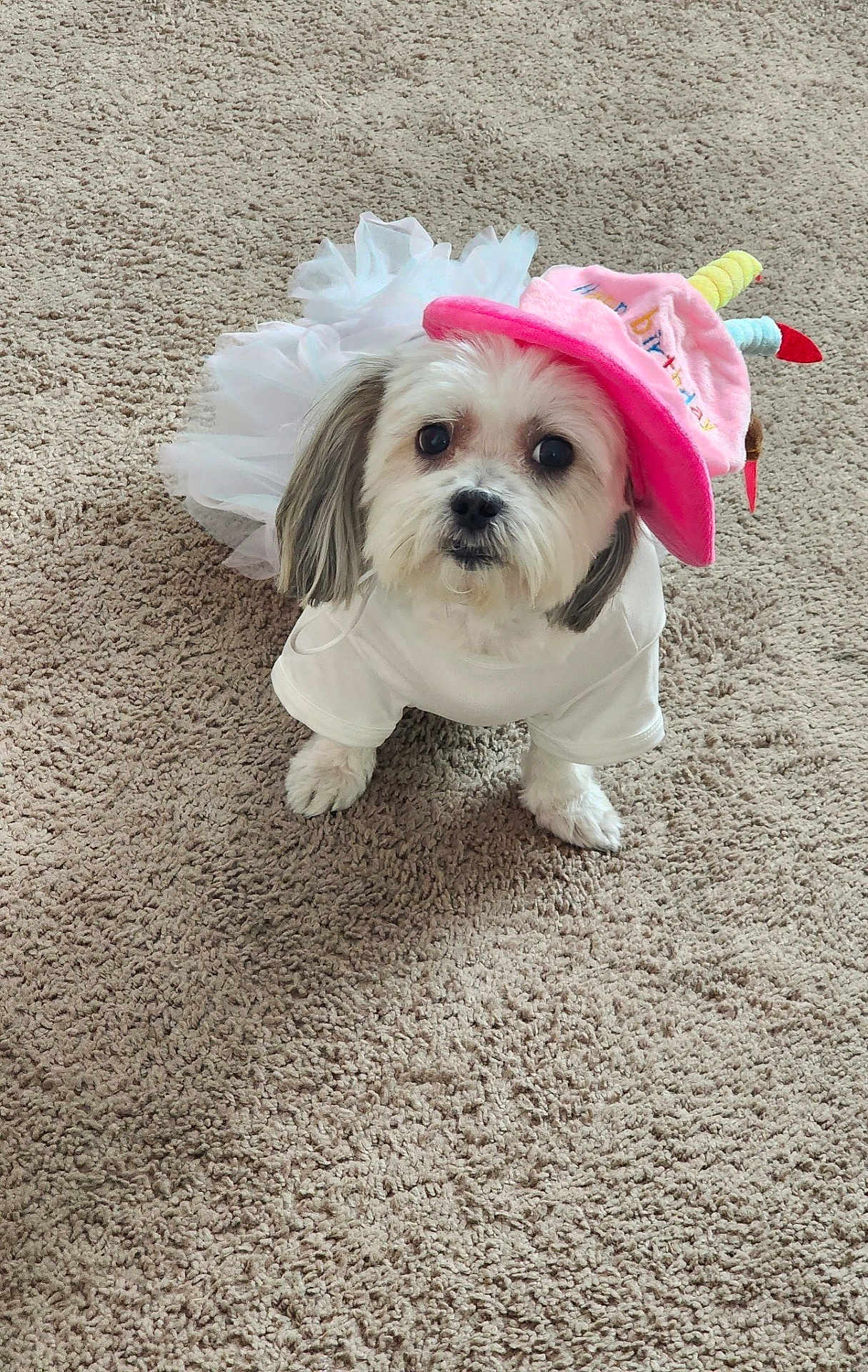 Princess