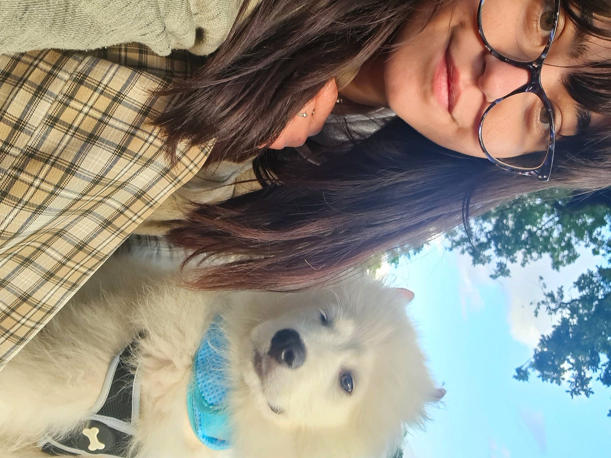 Shiro is registered to the contest to win money with this photo: carnivore, companion_dog, dog, dog_breed, eye, eyewear, facial_expression, fawn, gesture, happy, human, nose, organ, skin, smile, sunglasses, tartan, toy, tree, white