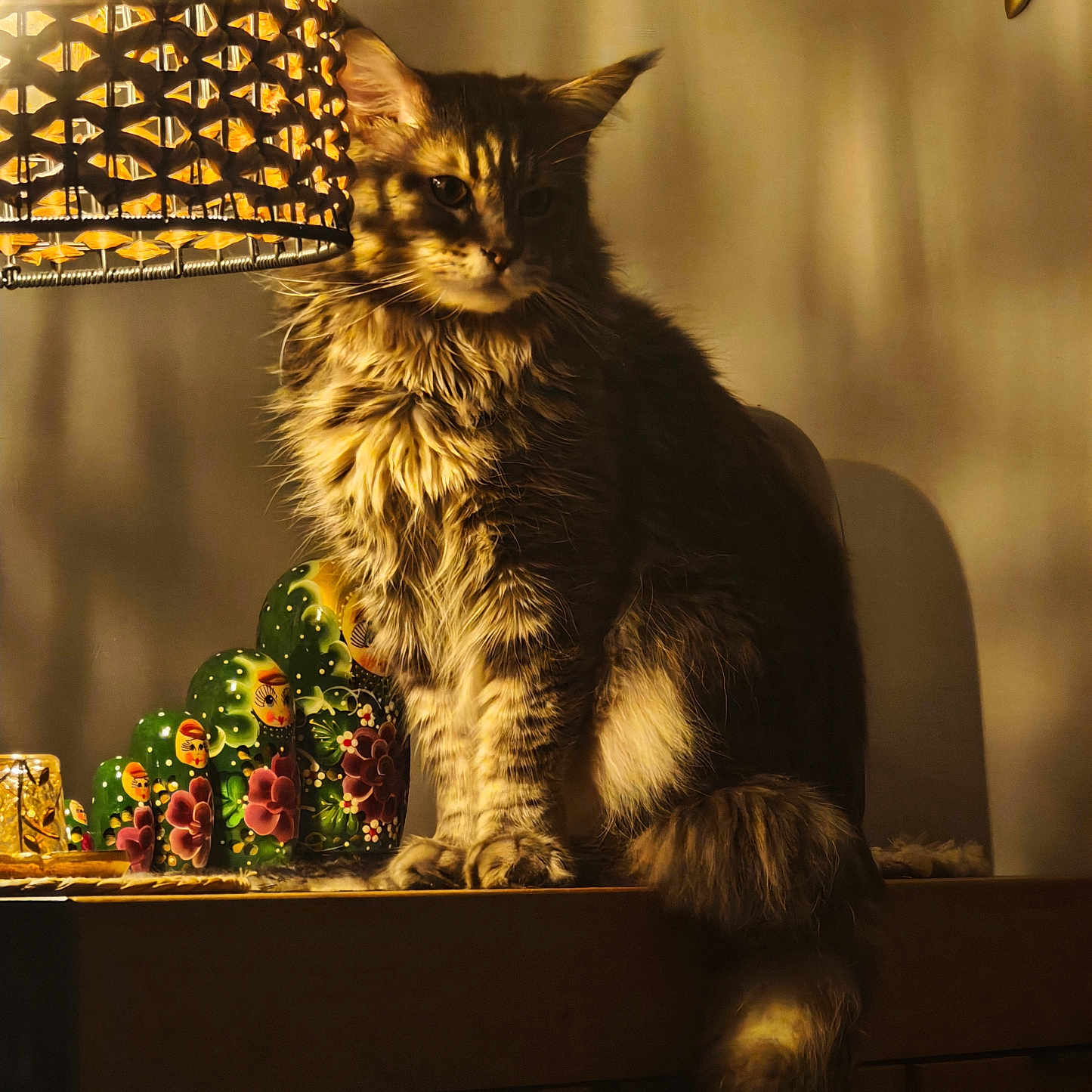 Loki a rejoint le concours — aidez-le/la à gagner de superbes lots ! cat, lamp, warm_light, wooden_surface, nested_dolls, shadow, decor, indoor, feline, fluffy, cozy, artistic, pattern, ornament, table, still_life, brown, yellow, soft_light, portrait