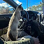 Ash is registered to the contest to win money with this photo: cat, car_interior, steering_wheel, person, hand, window, sky, clouds, keys, cup, blue_straw, dashboard, seat, traffic_light, tree, side_mirror, sunlight, camo_clothing, road, building