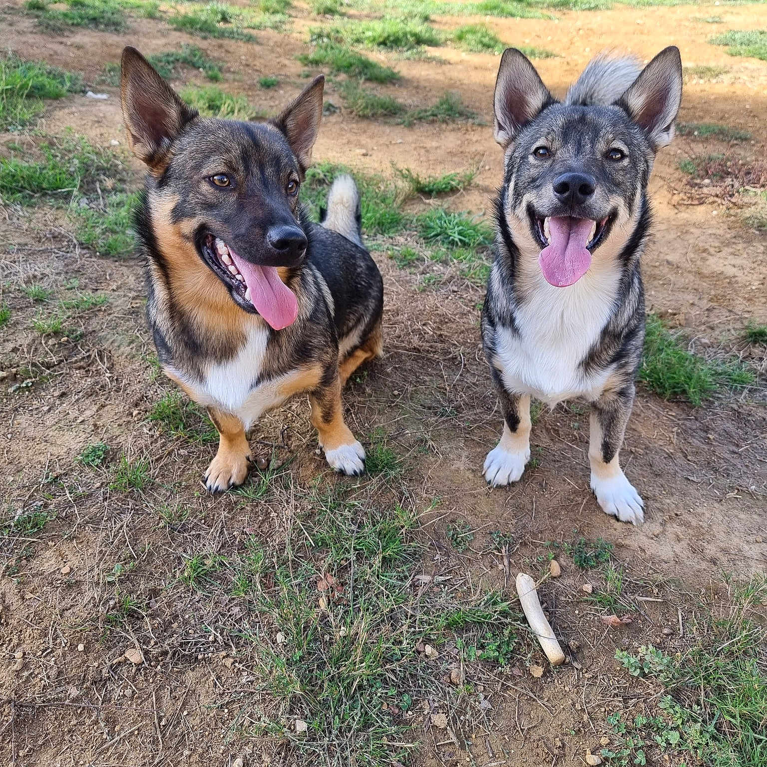 Siroï Et Saïko