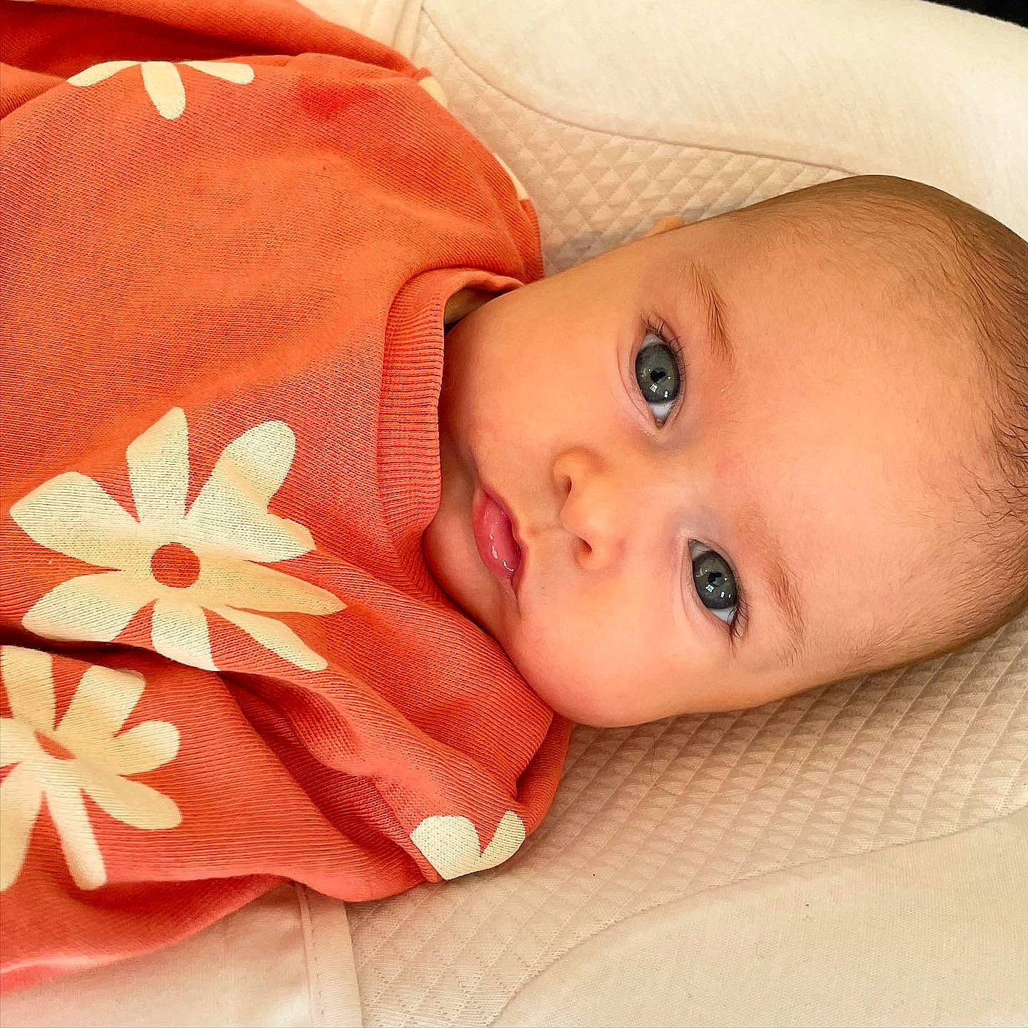 Anna a rejoint le concours — aidez-le/la à gagner de superbes lots ! baby, baby_toddler_clothing, cheek, child, chin, comfort, eye, eyelash, face, facial_expression, flower, iris, lip, nose, person, petal, product, skin, sleeve, textile