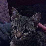 Bearl is registered to the contest to win money with this photo: