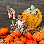 Noah joined the competition — help win amazing prizes! toddler, child, pumpkins, fall, autumn, hay, scarecrow, decorative_pumpkin, orange, smiling, outdoor, festive, harvest, baby, clothing, casual, gravel, sitting, cute, celebration