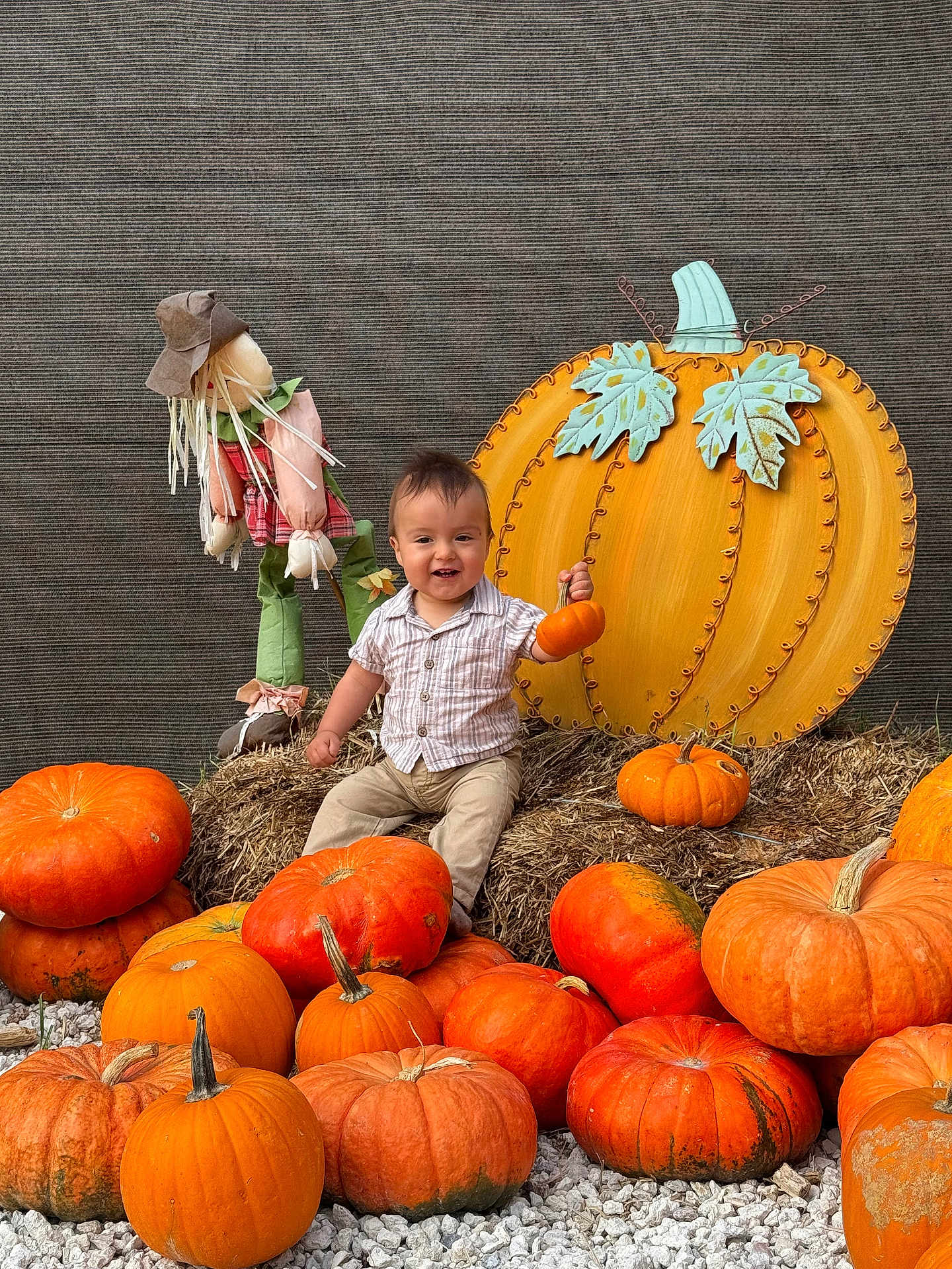 Noah joined the competition — help win amazing prizes! toddler, child, pumpkins, fall, autumn, hay, scarecrow, decorative_pumpkin, orange, smiling, outdoor, festive, harvest, baby, clothing, casual, gravel, sitting, cute, celebration