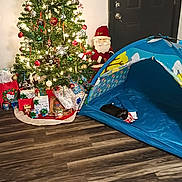 Boots joined the competition — help win amazing prizes! black_cat, christmas_tree, cozy, decorations, door, fabric, festive, gifts, holiday, indoor, lights, nap, ornaments, person_peeking, pet, present, santa_decoration, stocking, tent, wooden_floor