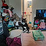 Boots joined the competition — help win amazing prizes! cat, bow_tie, table, clutter, clothes, pillow, television, living_room, bathroom, toys, blanket, plastic_container, foot, door, mirror, sink, light, floor, person_absent, indoor