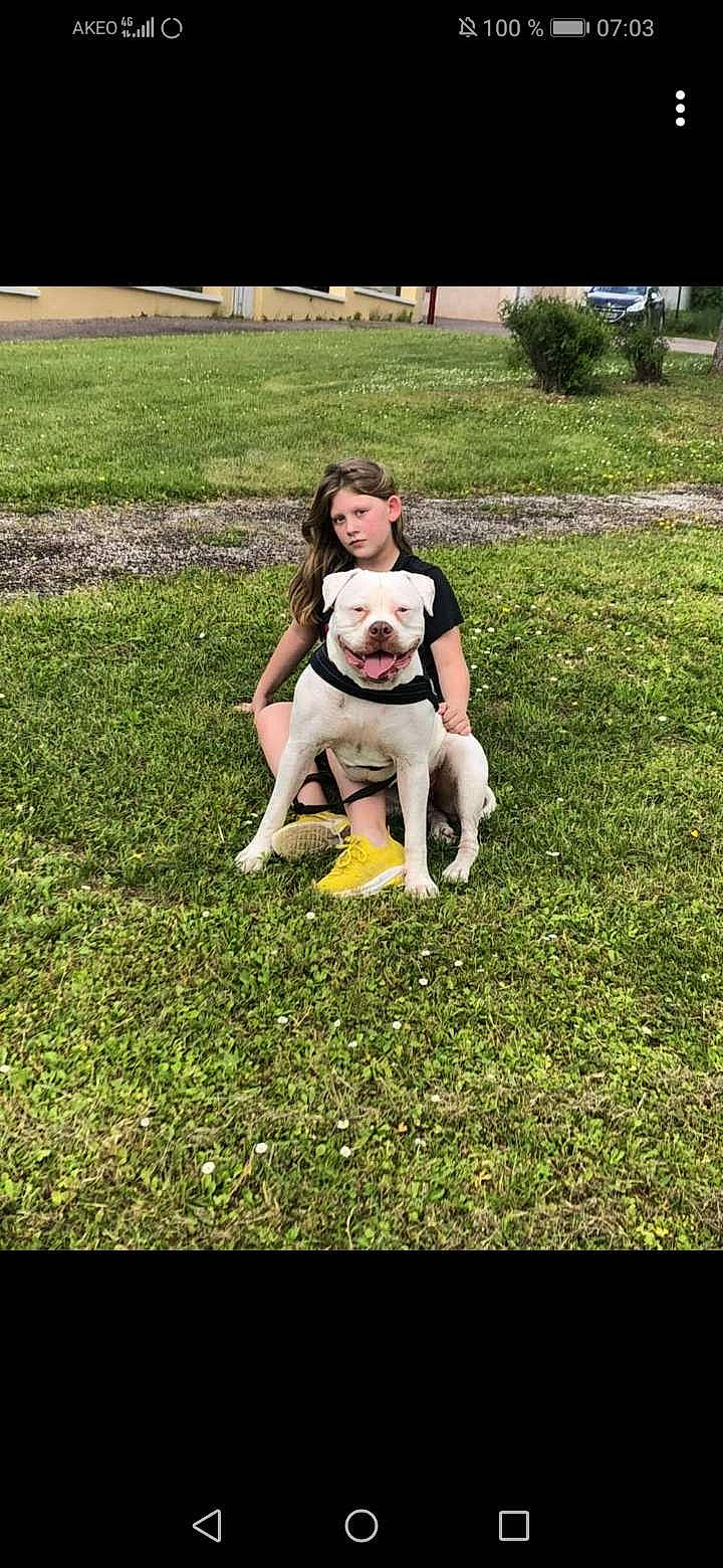 Bianca participe au concours pour gagner de l'argent avec cette photo : baby, carnivore, companion_dog, dog, dog_breed, face, fawn, grass, grass_family, grassland, happy, jeans, lawn, leg, leisure, meadow, people_in_nature, plant, t_shirt, toy_dog