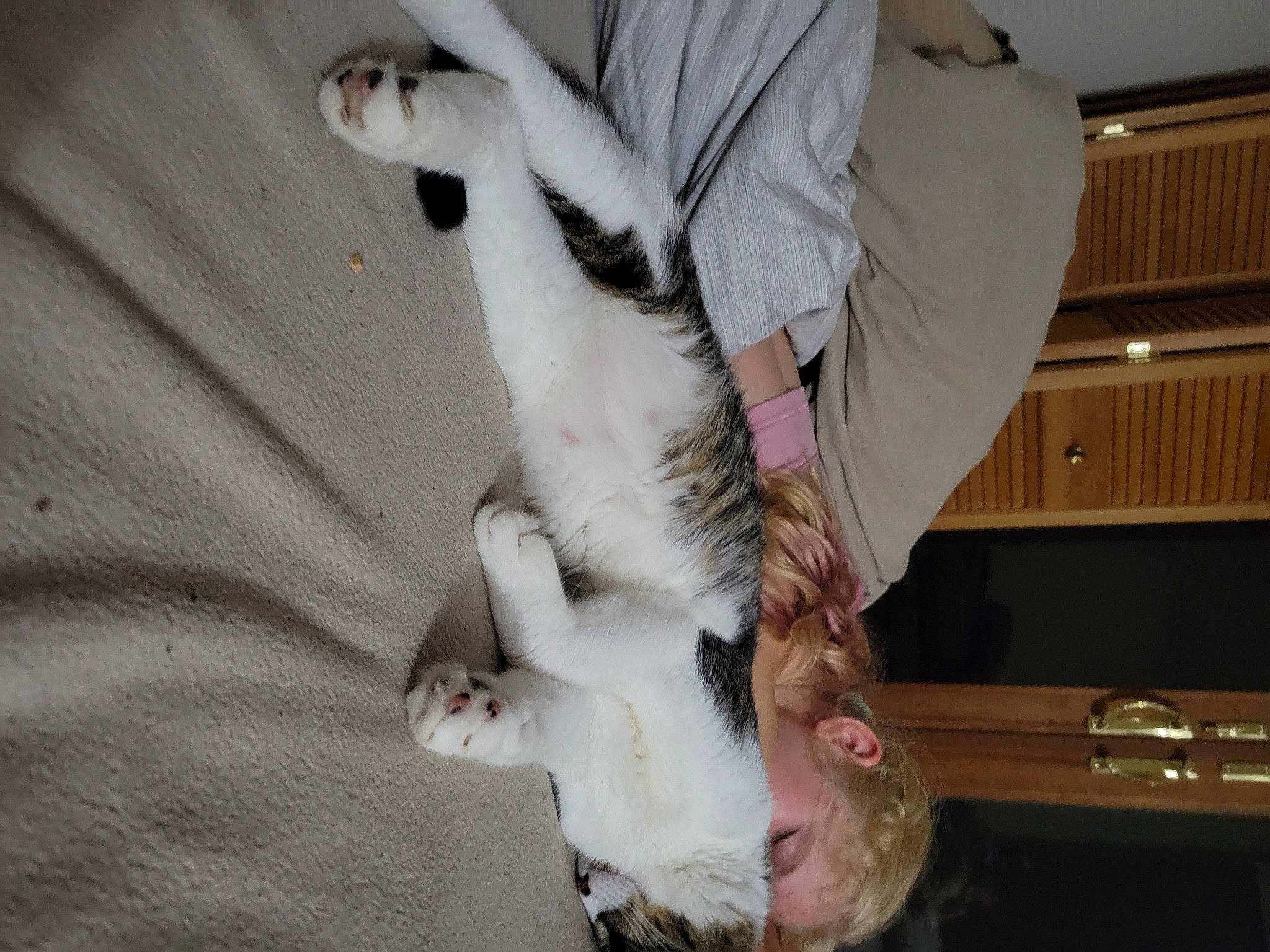 Eddie is registered to the contest to win money with this photo: canidae, carnivore, cat, claw, comfort, companion_dog, dog_breed, domestic_short_haired_cat, ear, fawn, felidae, fur, gesture, paw, small_to_medium_sized_cats, snout, sporting_group, tail, tree, whiskers