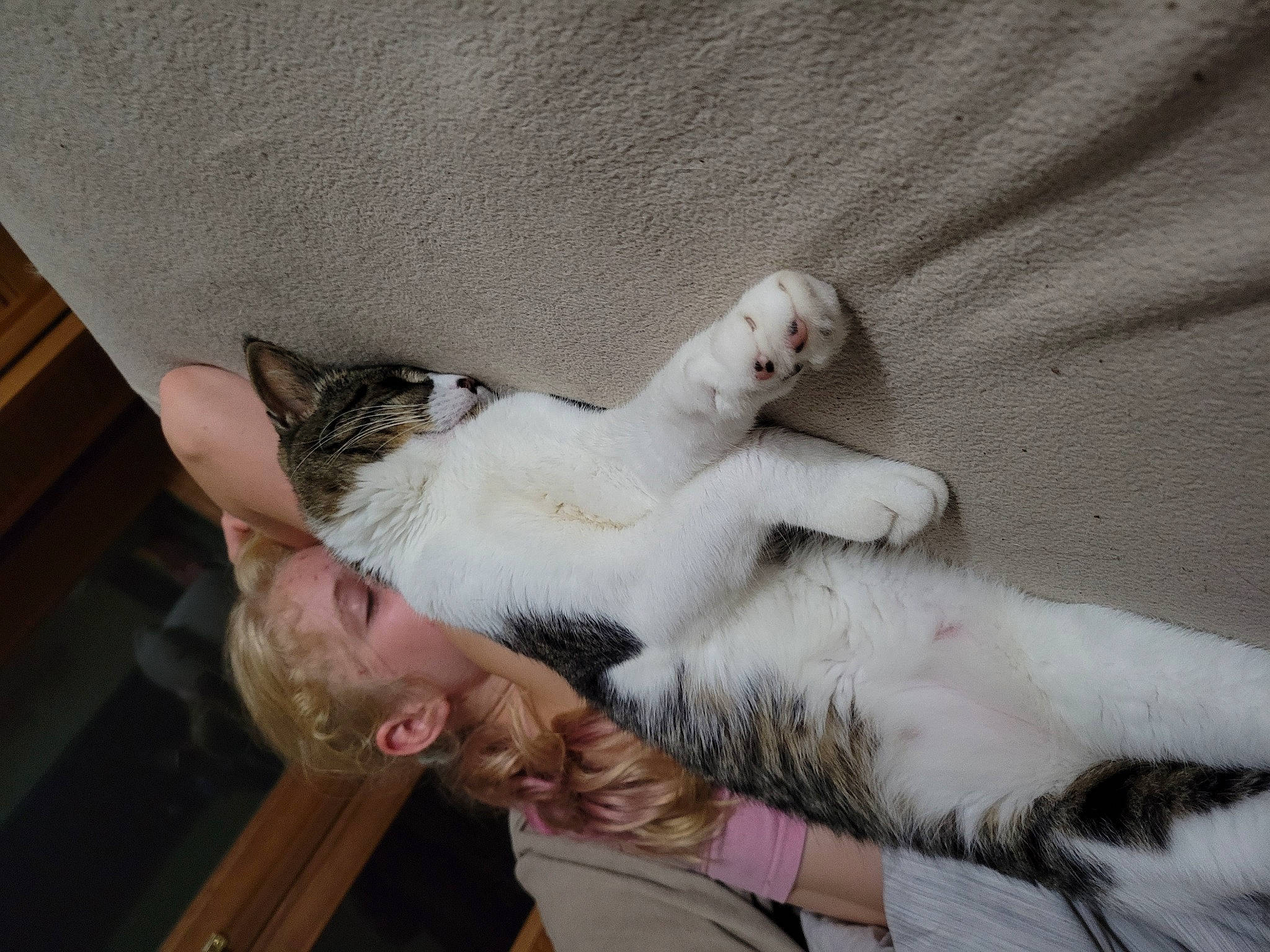 Eddie is registered to the contest to win money with this photo: canidae, carnivore, cat, claw, comfort, companion_dog, dog_breed, domestic_short_haired_cat, fawn, felidae, fur, nap, paw, small_to_medium_sized_cats, snout, sporting_group, tail, whiskers, wood