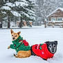 Lucy joined the competition — help win amazing prizes! animal, apparel, backdrop, canine, christmas_sweater, cold, cute, dog, dogs, festive, holiday, nature, outdoor, pet, pine_tree, seasonal, snow, snowy, tree, winter