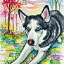 abstract, animal, artistic, background, blue_eyes, colorful, detailed, dog, grass, husky, nature, outdoor, painting, pastel_sky, portrait, soft_colors, stretching, trees, watercolor, whimsical