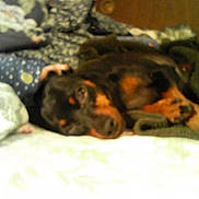 Maisie is registered to the contest to win money with this photo: