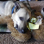 Vince is registered to the contest to win money with this photo: