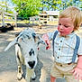 animal, bow_tie, boy, child, cute, daylight, dirt_ground, farm, fence, friendly, goat, nature, outdoor, petting, sandals, shorts, sunny, suspenders, toddler, trees