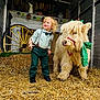 child, toddler, blond_child, highland_cow, cow, hay, barn, wagon_wheel, suspenders, bow_tie, green_clothing, st_patricks, decorations, rope, boots, portrait, smile, animal_companion, festive, rural
