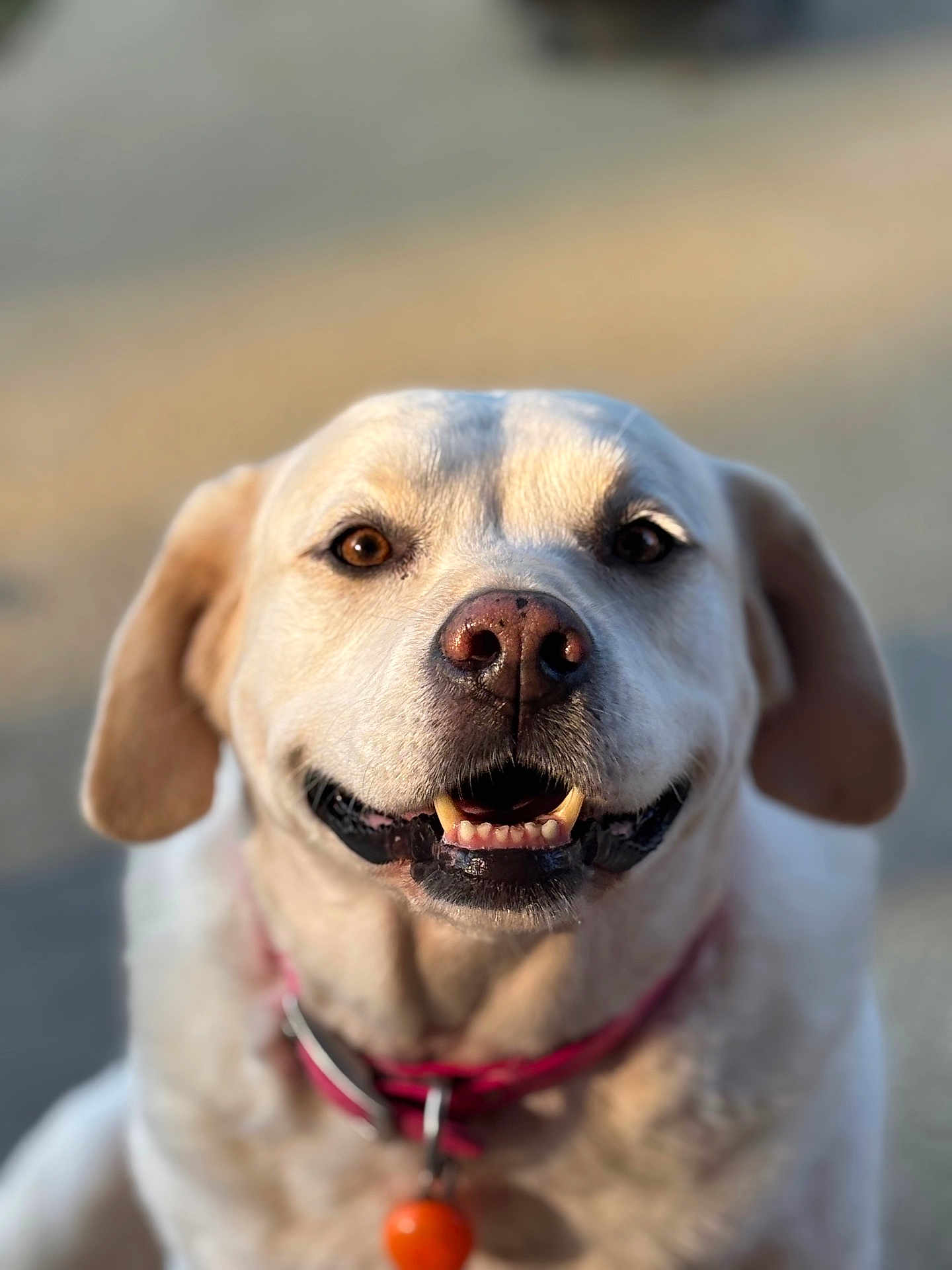 Luna