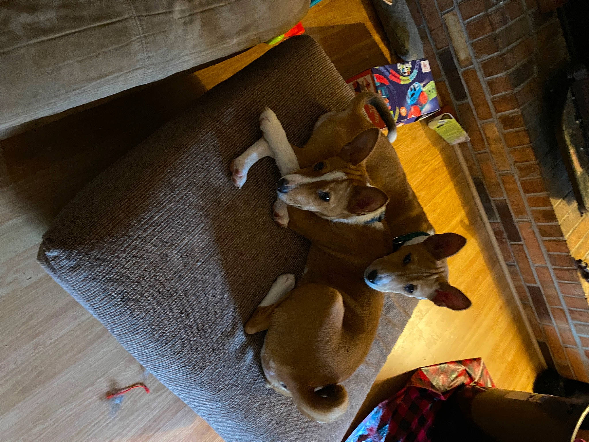 Ronin And Jaeger is registered to the contest to win money with this photo: bag, baggage, brown, cardboard, carmine, carton, flooring, hardwood, luggage_and_bags, metal, paper_product, personal_protective_equipment, plastic, plywood, shipping_box, wood