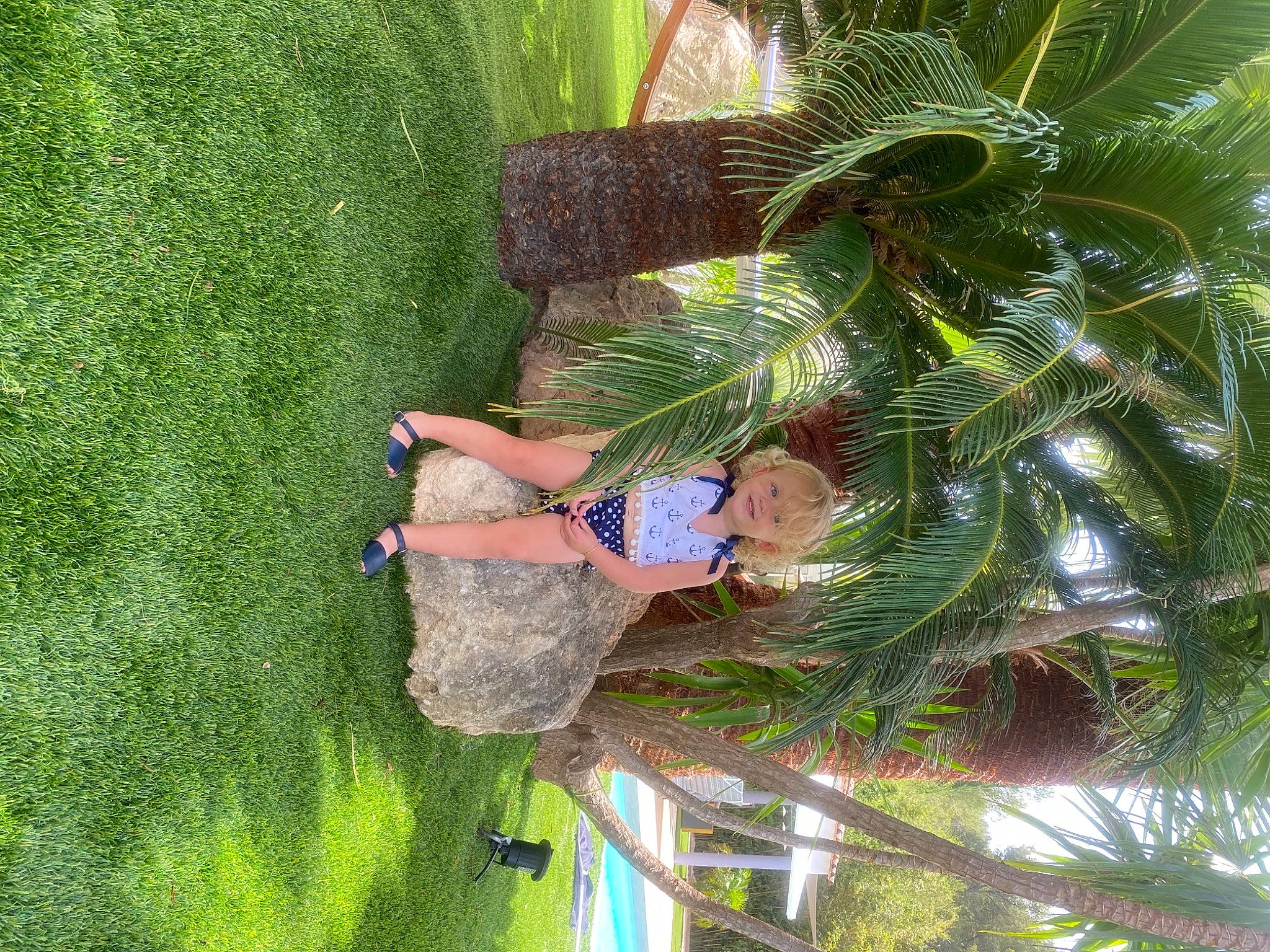 Summer participe au concours pour gagner de l'argent avec cette photo : arecales, art, botany, conifer, evergreen, fir, fun, grass, green, joy, leisure, organism, palm_tree, people_in_nature, person, plant, terrestrial_plant, tree, vegetation, woody_plant