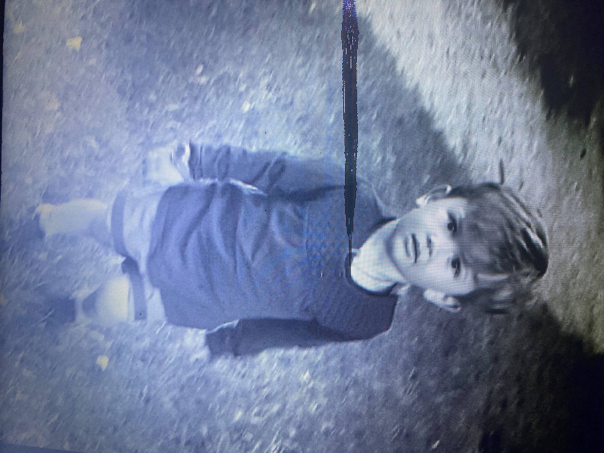 Days a rejoint le concours — aidez-le/la à gagner de superbes lots ! child, cloud, darkness, electric_blue, flash_photography, fun, grass, grey, monochrome, monochrome_photography, night, person, portrait, portrait_photography, reflection, shadow, sky, tints_and_shades, toddler, visual_arts