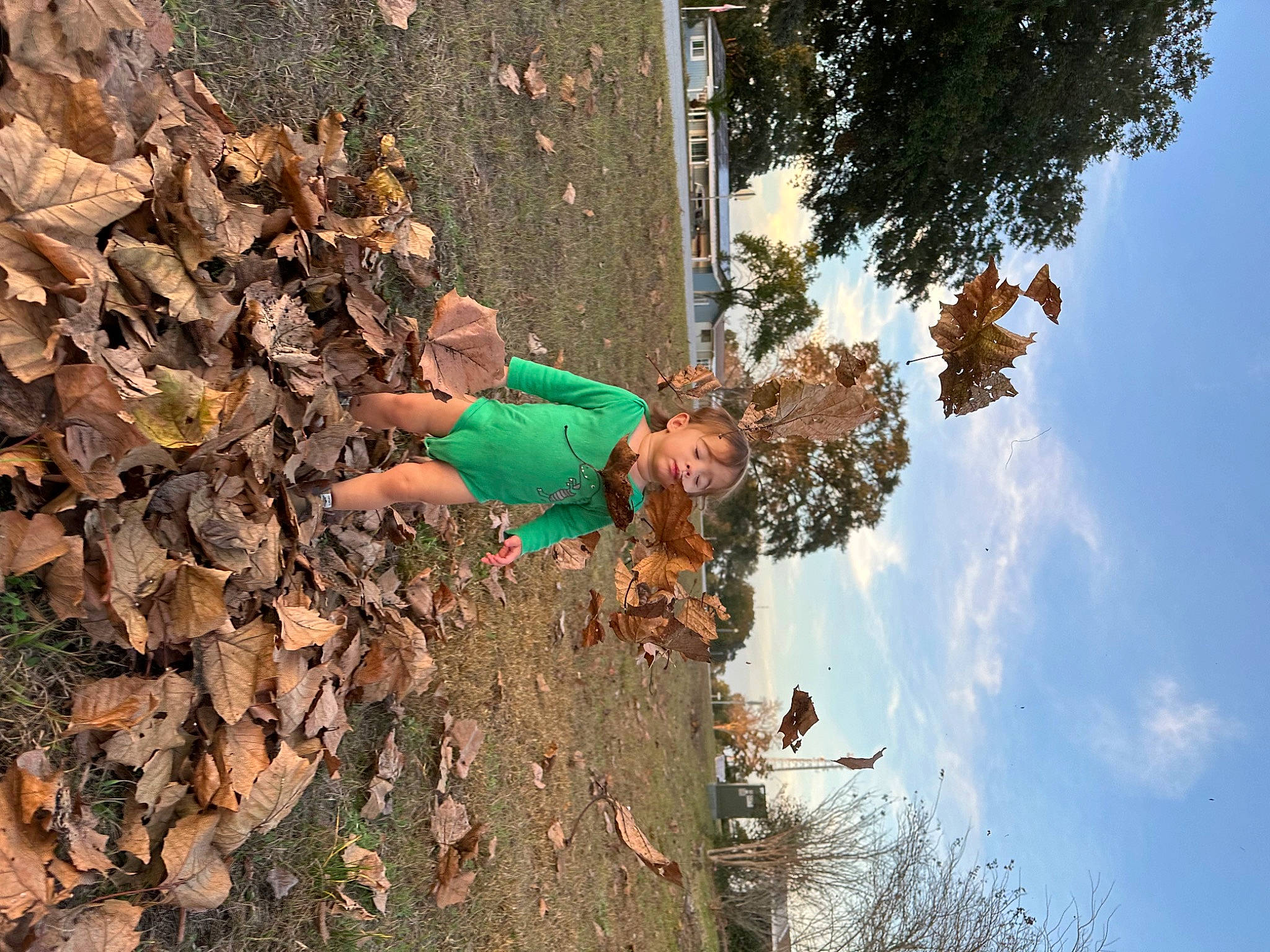 Dexter joined the competition — help win amazing prizes! adventure, autumn, deciduous, fun, grass, landscape, leisure, people_in_nature, person, plant, recreation, rock, sky, soil, tree, trunk, vertebrate, wood