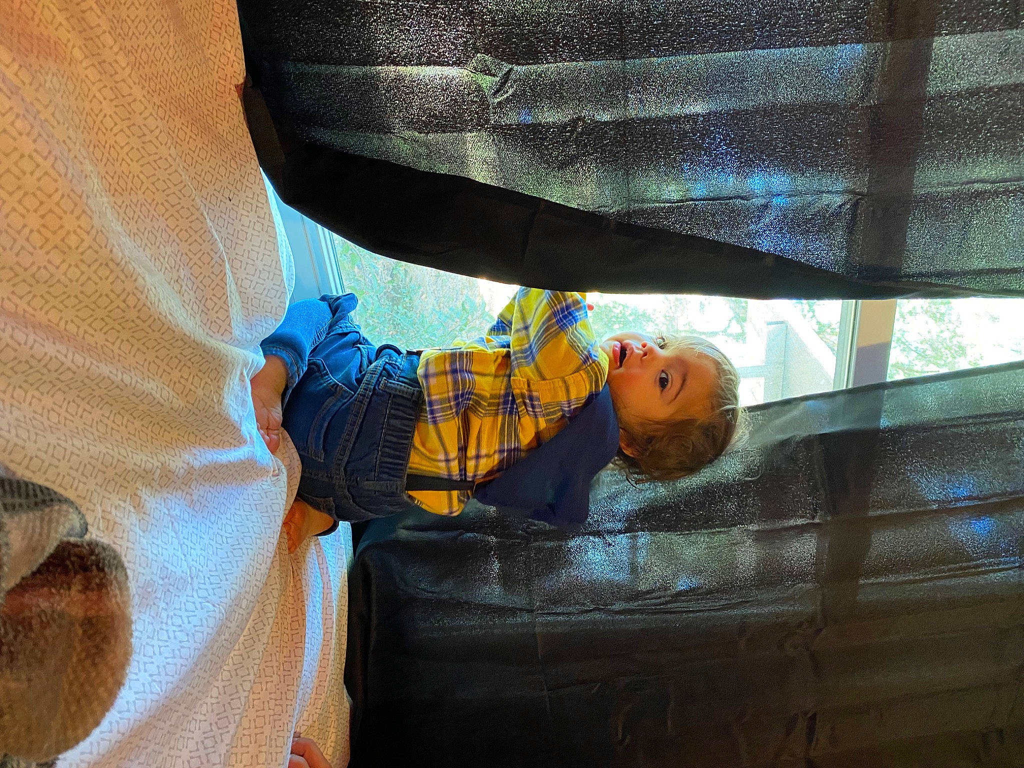 Dexter joined the competition — help win amazing prizes! child, comfort, electric_blue, mesh, net, pattern, person, room, tints_and_shades, toddler, vehicle_door, wood