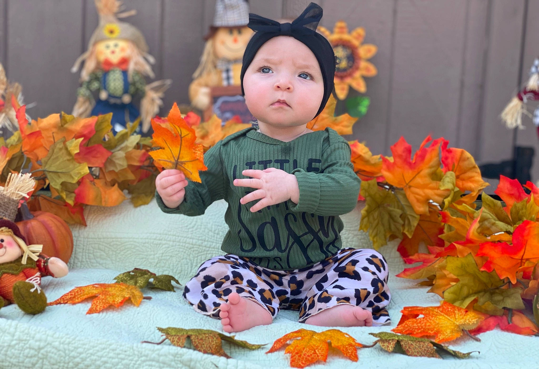 Bayleigh is registered to the contest to win money with this photo: baby, baby_toddler_clothing, calabaza, child, event, fun, happy, headwear, holiday, leaf, orange, organ, person, plant, plush, pumpkin, stuffed_toy, toddler, toy, tradition