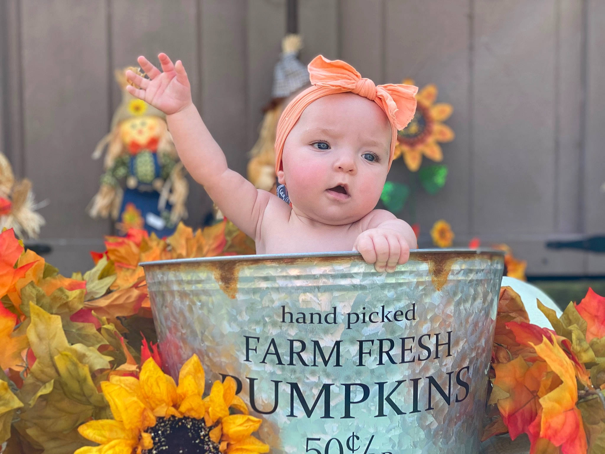 Bayleigh joined the competition — help win amazing prizes! annual_plant, baby, beauty, child, event, facial_expression, flower, flowering_plant, fun, happy, headwear, leaf, orange, person, petal, plant, room, smile, sweetness, toddler