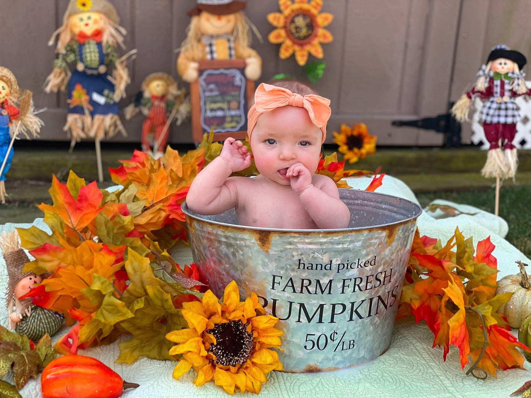 Bayleigh joined the competition — help win amazing prizes! baby, basket, child, cut_flowers, event, floral_design, floristry, flower, flower_arranging, happy, headwear, natural_foods, orange, person, petal, plant, pumpkin, rose, stuffed_toy, sweetness