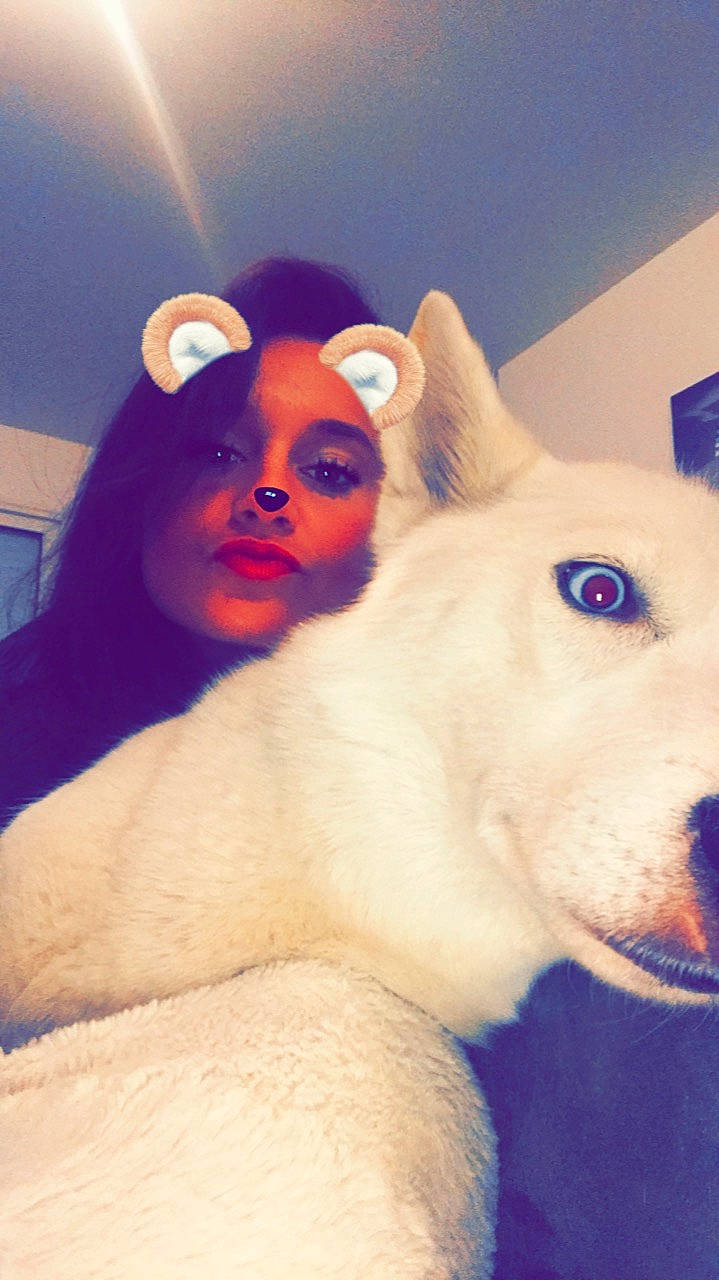 Irka a rejoint le concours — aidez-le/la à gagner de superbes lots ! canidae, carnivore, companion_dog, dog_breed, ear, eye, eyebrow, fur, head, nose, photography, selfie, skin, snout