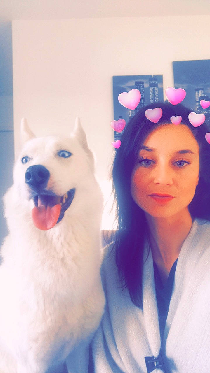 Irka a rejoint le concours — aidez-le/la à gagner de superbes lots ! canidae, carnivore, companion_dog, dog, dog_breed, ear, eyebrow, head, nose, photography, samoyed, selfie, siberian_husky, skin, white_shepherd