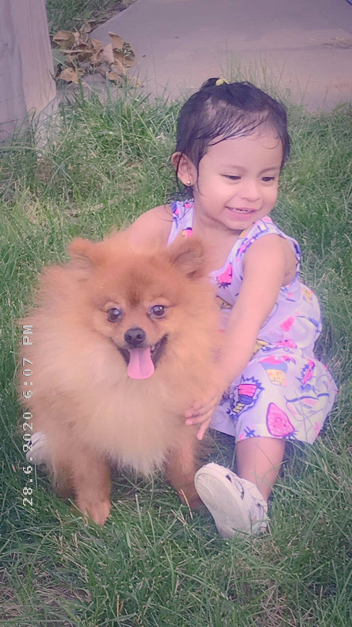 Genesis Maria is registered to the contest to win money with this photo: canidae, carnivore, child, companion_dog, dog, dog_breed, fawn, german_spitz, german_spitz_klein, german_spitz_mittel, joy, mammal, non_sporting_group, person, pomeranian, puppy, skin, spitz, toy_dog, volpino_italiano