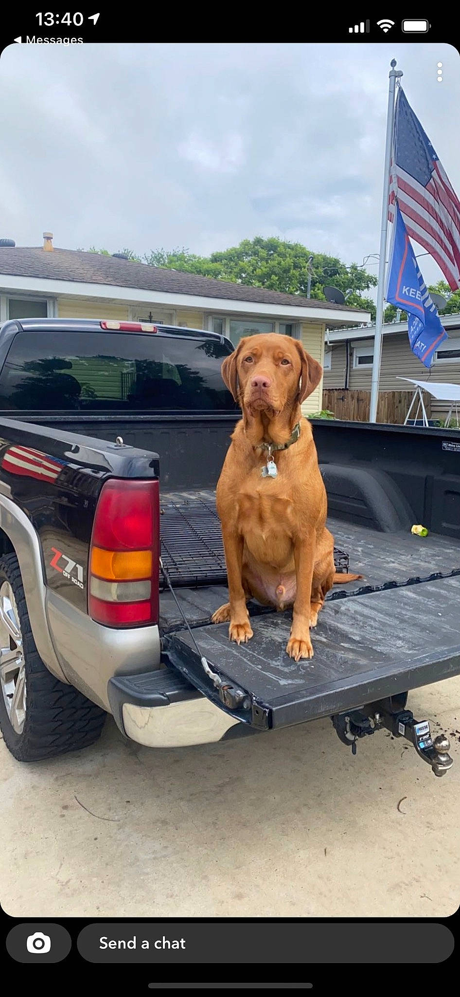 Chevy is registered to the contest to win money with this photo: automotive_exterior, automotive_lighting, automotive_parking_light, automotive_side_marker_light, automotive_tail_brake_light, automotive_tire, bumper, car, carnivore, cloud, dog, fender, flag, hood, motor_vehicle, sky, tire, tread, vehicle, wheel