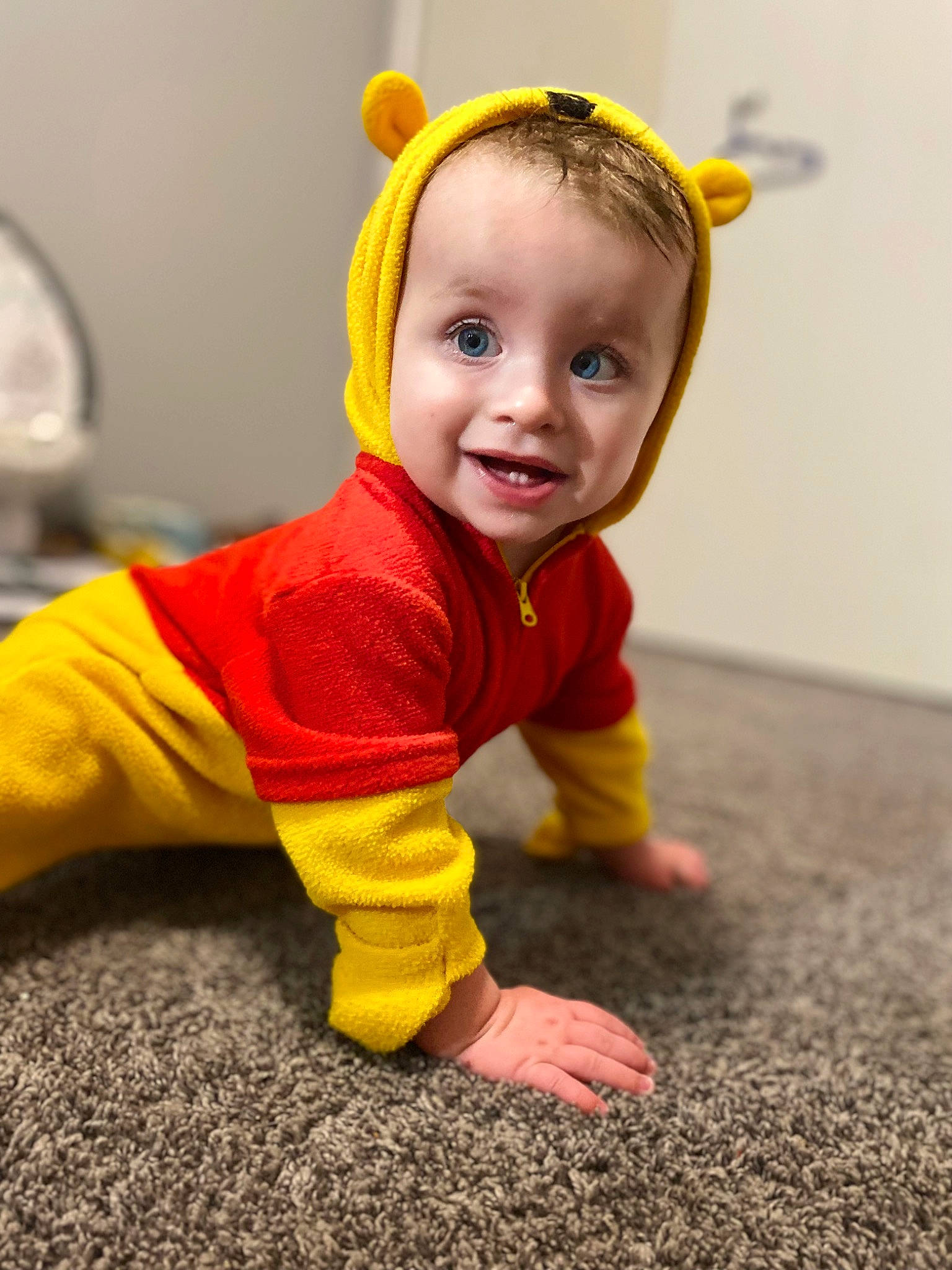 Donald is registered to the contest to win money with this photo: baby, baby_crawling, baby_toddler_clothing, cheek, child, crawling, face, floor, flooring, fun, grass, happy, orange, person, sitting, sleeve, smile, t_shirt, toddler, wood