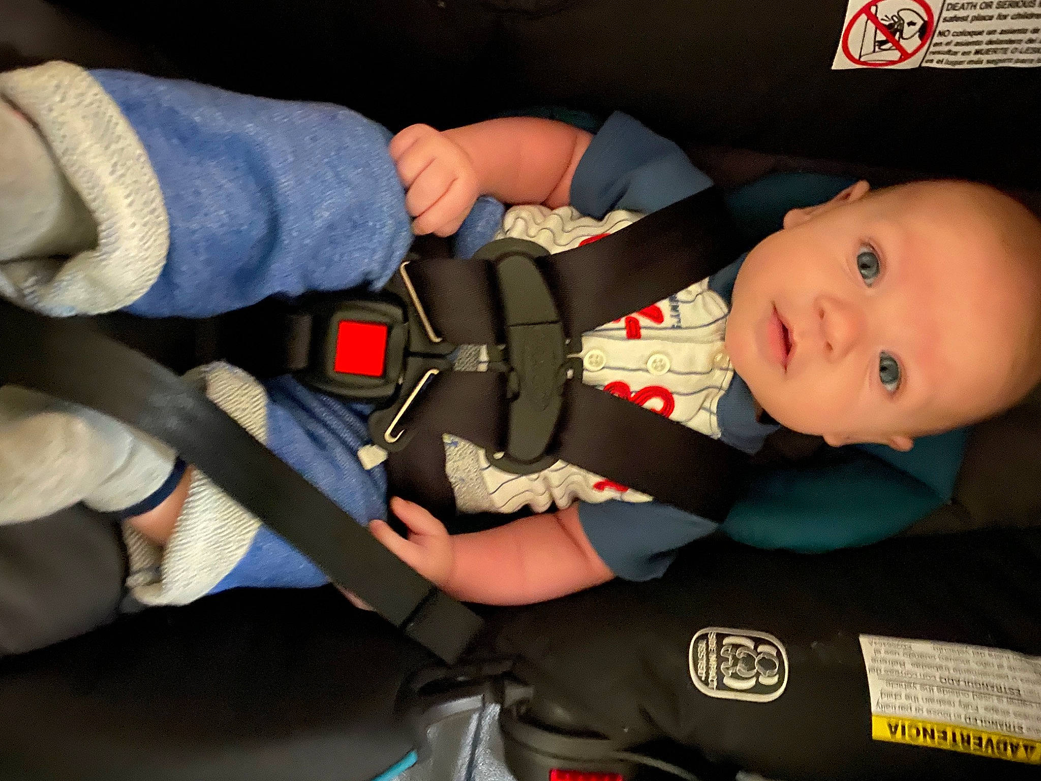 Dayton joined the competition — help win amazing prizes! baby, baby_carriage, baby_in_car_seat, baby_products, car_seat, child, person, product, seat_belt