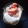 newborn, baby, sleeping, blanket, bucket, metal, diaper, soft_light, dark_background, infant, peaceful, cute, resting, wrapped, skin, tiny, portrait, baby_boy, cozy, indoors