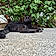 Bagheera
