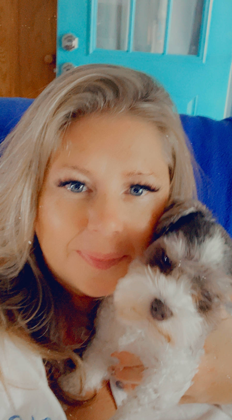 Rascal joined the competition — help win amazing prizes! blond, brown_hair, carnivore, companion_dog, couch, dog, dog_breed, eyebrow, eyelash, fur, iris, mal_shi, maltepoo, mammal, non_sporting_group, puppy, puppy_love, selfie, toy_dog, working_animal