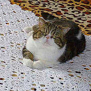 Florimond participe au concours pour gagner de l'argent avec cette photo :